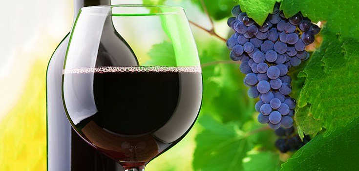 Why Resveratrol Makes Red Wine the Exception to the Rule