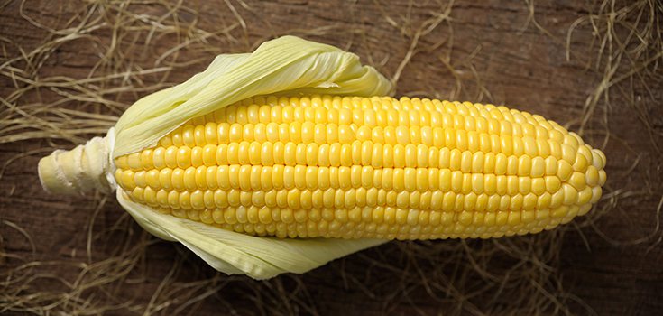 Top 10 Worst GMO Foods for Your GMO Foods List