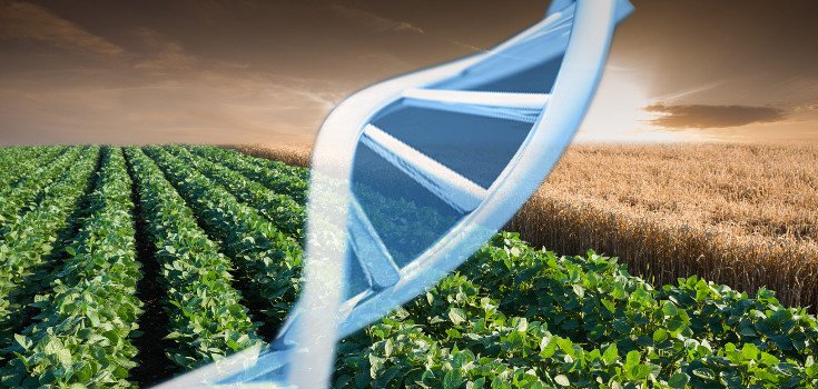 Study: Children Exposed to GMO Soy Pesticides Suffer ‘Serious Genetic Damage’
