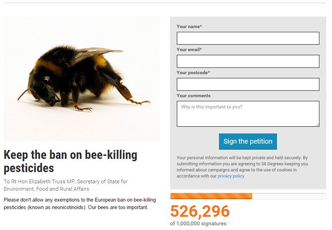 insect-bee-protest-petition-670