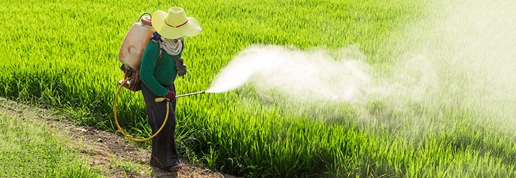 Pesticides Linked to Brain Cancer in Children