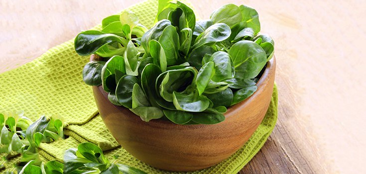 Stay Healthy: Boost Magnesium Levels with These Two Foods