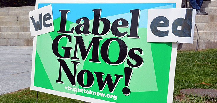 8 States Support Vermont in Fight Against Monsanto and GMOs