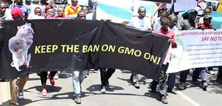 Activists in Kenya Protest Against GMO Food Introduction