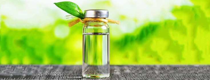 10 Uses for Tea Tree Oil for Your Health and House