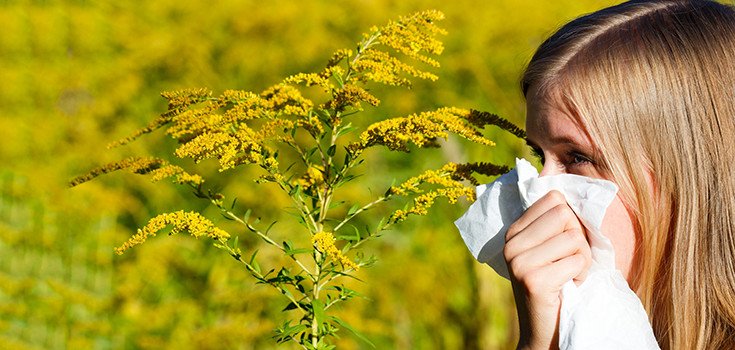How to Stop Hay Fever This Fall – 13 Natural Tips