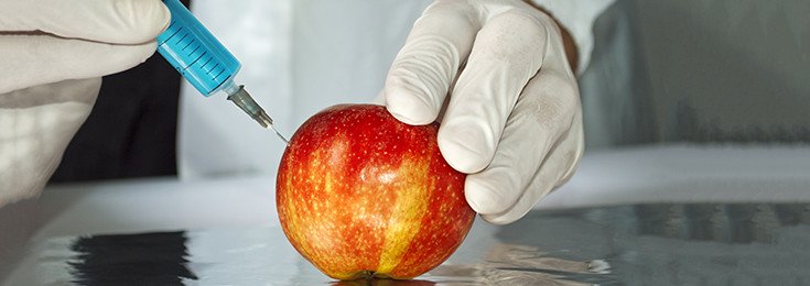 Why You Can’t Separate GMOs from their Biotech Chemicals