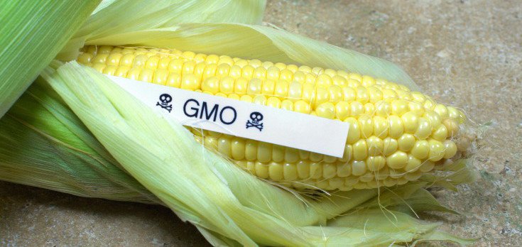 GM Foods are Inherently Unsafe, Warns American Academy of Environmental Medicine