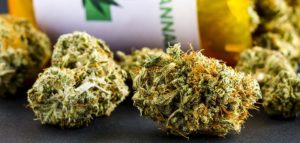 Court Ruling To Halt DEA From Harassing Medical Marijuana Shops ...