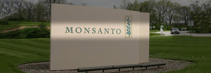 Monsanto to Cut 2,600 Jobs as GMO Seed Sales Fall