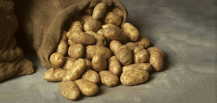 South Africa Rejects Appeal from Biotech to Grow GM Potatoes