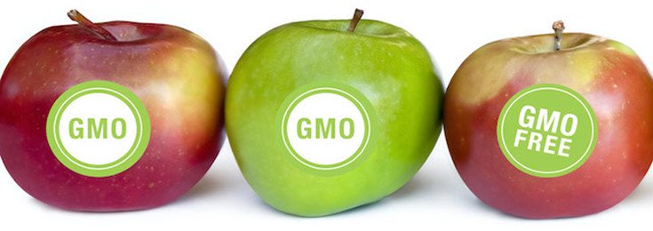 Survey Reveals Americans Don’t Trust Scientists on GMOs