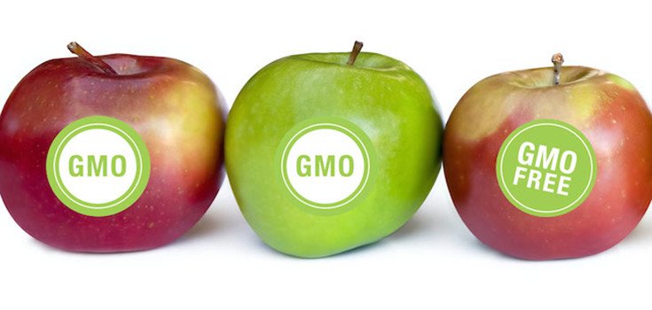 FDA Won’t Make Food Companies Label GM Plant Foods