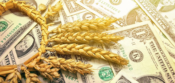 Does This Monsanto Deal Signal a Bleak Biotech Future?