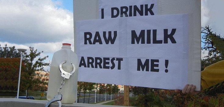 Raw Milk Farmer Jailed for Removing Gov’t Surveillance Cameras from Own Property