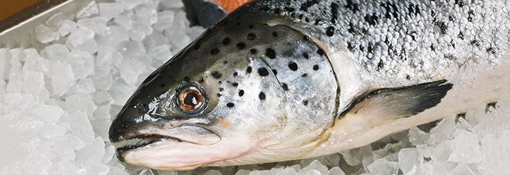 How Will You Know if Your Store is Selling GM Salmon?
