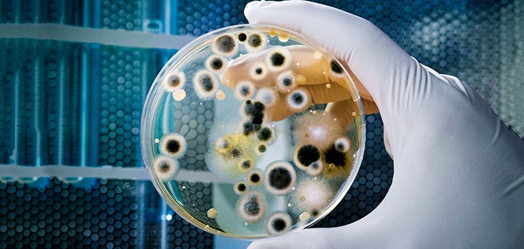 Bacteria Resistant to ALL Drugs Shows up in Denmark
