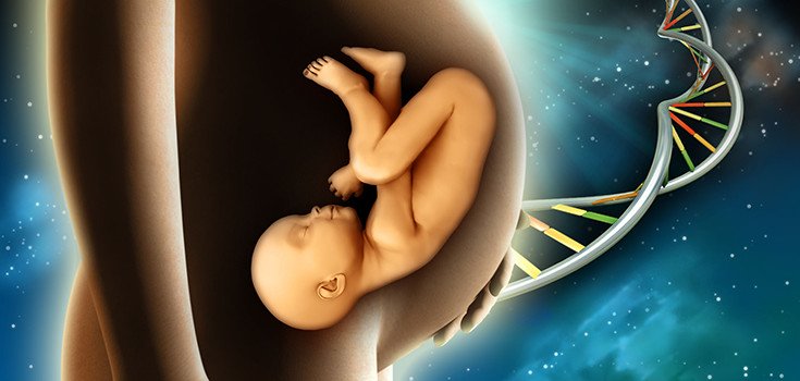 ‘Steer Clear of Creating GMO Babies,’ Scientists and Ethicists Say