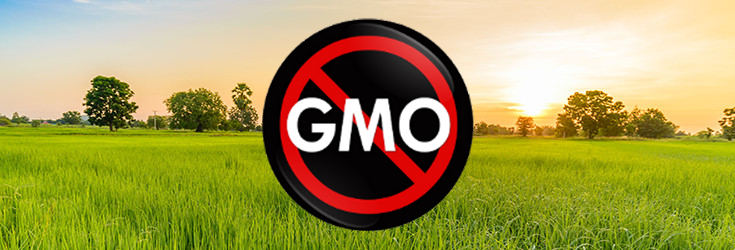 Venezuela Rejects the Production, Distribution, and Importation of GM Seeds