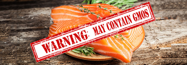 Huge: Spending Bill Forces FDA to Label the New GM Salmon