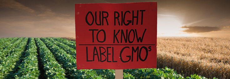 Lobbyists at it Again: GMO Labeling Fight Likely to Resume in New Year