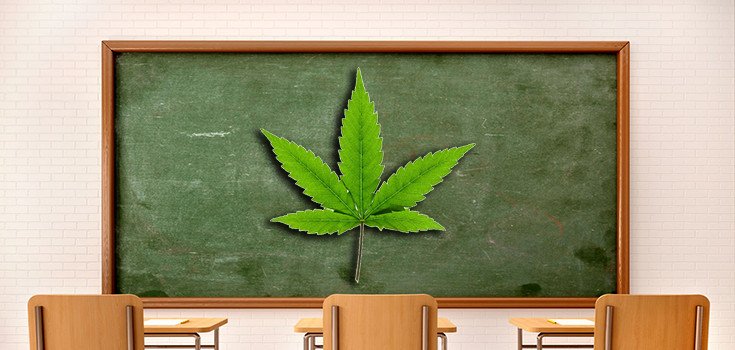 Popular Vermont College Course on Medical Marijuana Faces Challenges