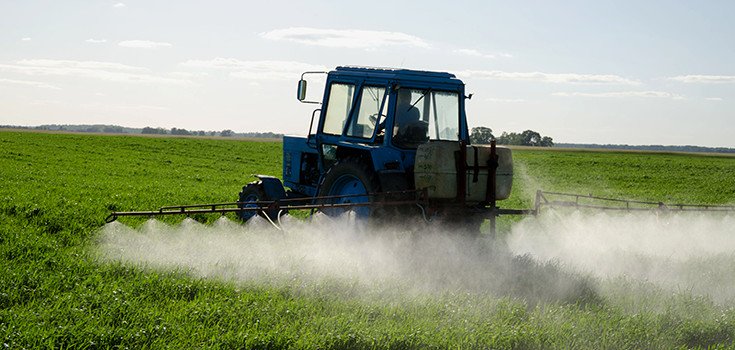 US FDA Deregulates 2 More GE Corn Strains, Unleashing More Toxic Crops on America