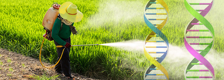 New Monsanto Chemical Silences Genes to Kill Bugs: Will They Silence Yours, Too?