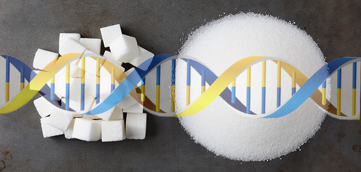 Will Sugar Soon be Genetically Modified to ‘Help Fight Skin Cancer?’