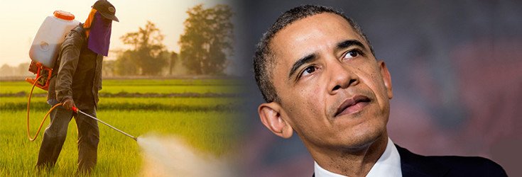 Send a Message to Obama: Ban ‘Likely-Carcinogenic’ Glyphosate-Herbicides!