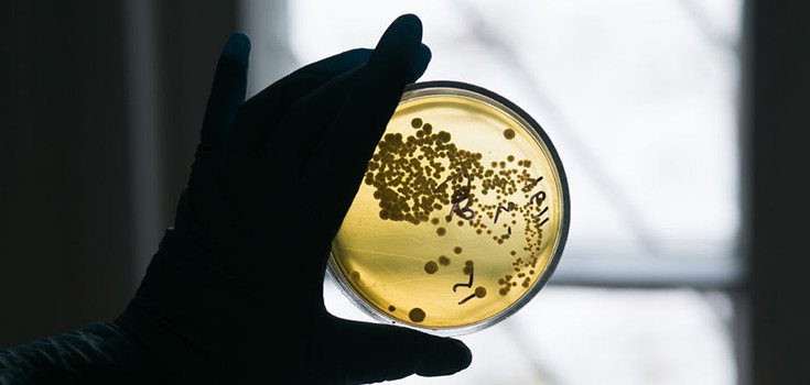 Bacteria Resistant to ALL Drugs Found in Canada in OLD Samples