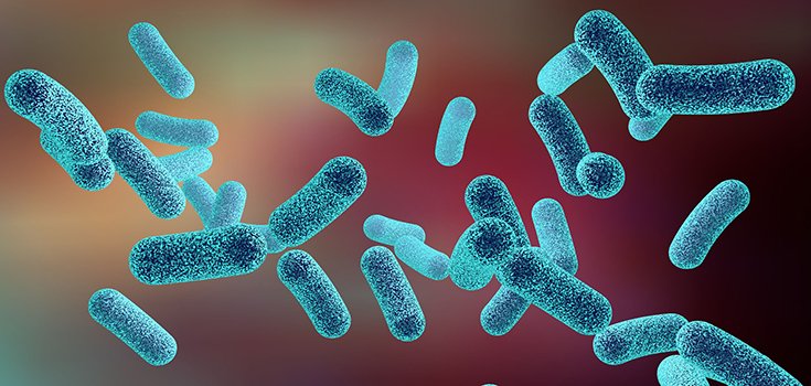 We Now Know HOW Antibiotics Kill off Good Bacteria in the Gut