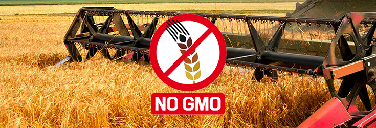 US Grain Terminal Goes GMO-FREE to Meet Consumer Demand