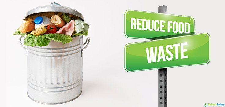 Action Needed: 20K More Signatures to Convince Congress to Stop Wasting Food