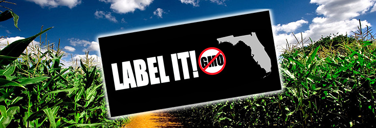 Huge News: Florida Launches 3 Bills for Mandatory GMO Labeling!