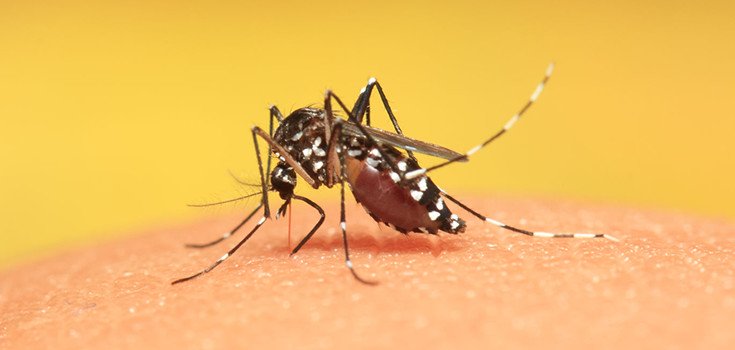 Health Experts Worry Drug-Resistant Malaria Could Spread Globally