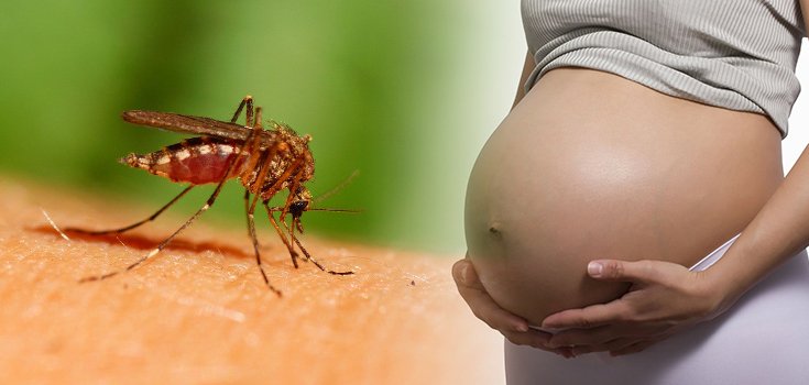 Women in El Salvador Told to Delay Pregnancy Until 2018 Due to Zika Virus