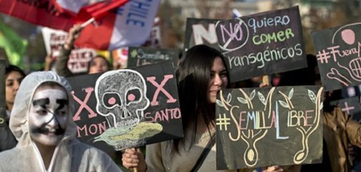 Monsanto Works Hard to Evict Argentinian Protesters