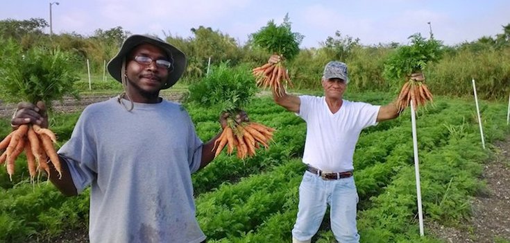 Homeless Given New Life after Working on a 22-Acre Organic Farm
