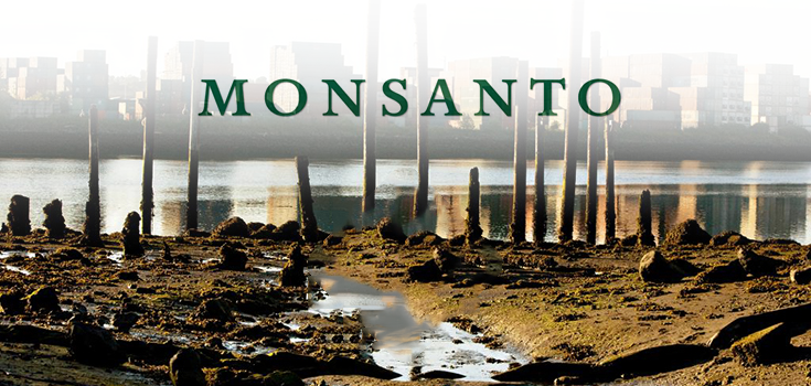 Breaking: Seattle Joins Major US Cities to Sue Monsanto for Toxic PCB Contamination