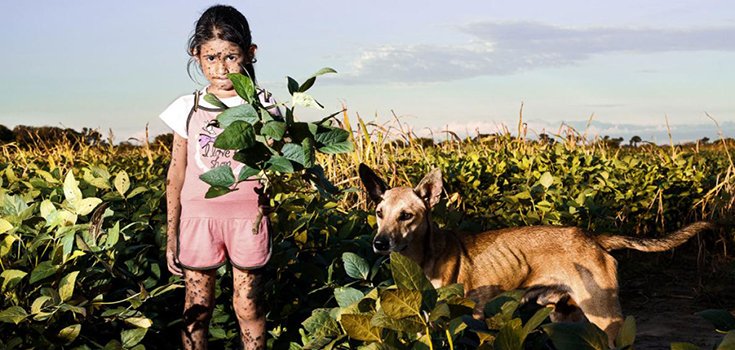 One Photograph Sparks Pesticide Revolution in this Argentinian Town