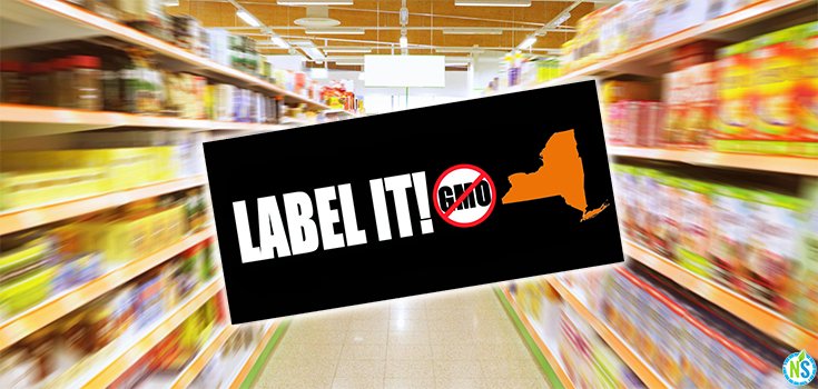 Big: New York Inches Closer to a Mandatory GM Labeling Bill