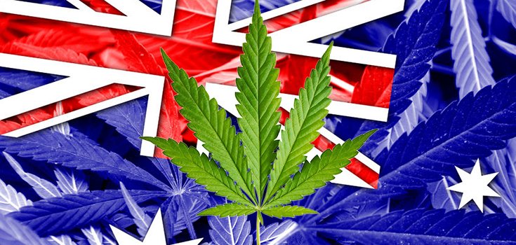 Medical Marijuana Legalized on Entire Continent of Australia