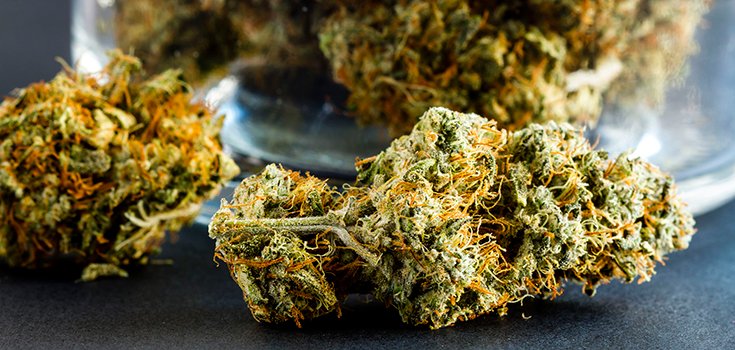 Vermont Draws One Step Closer to Legalizing Recreational Marijuana