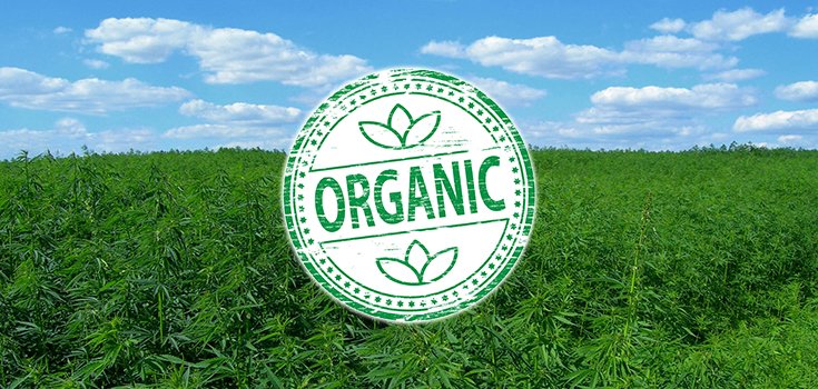 USDA Gives Colorado Cannabis Farm First Approval to Use Organic Seal
