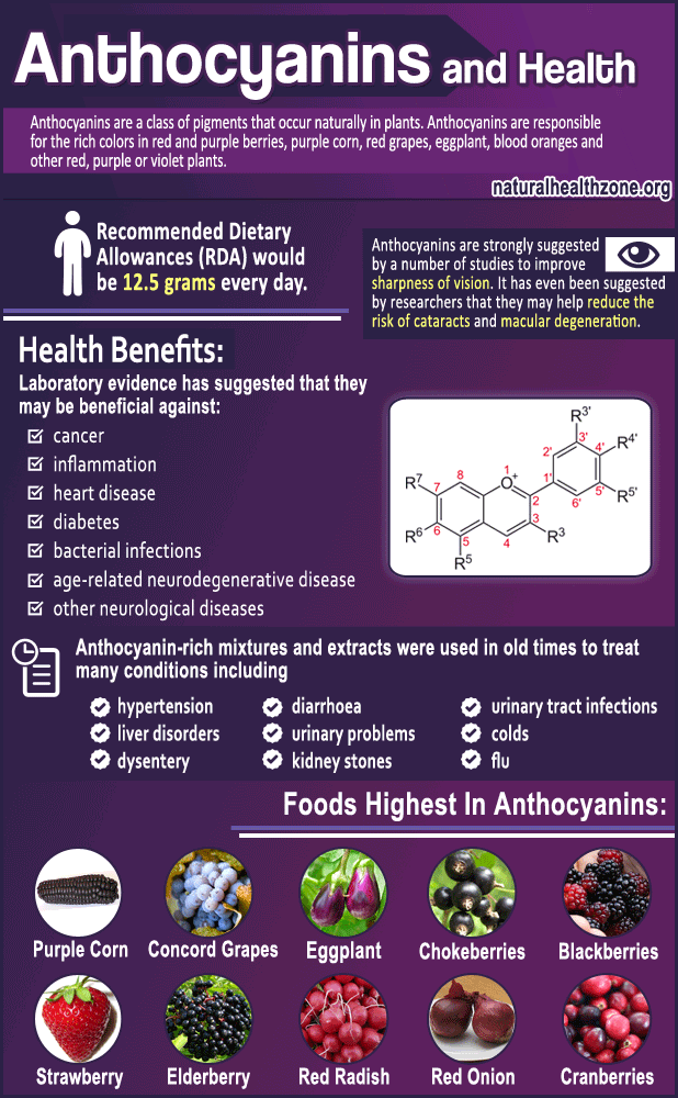 Anthocyanins-and-Health