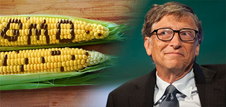 Why Cornell University Is Accused of a GMO Propaganda Campaign