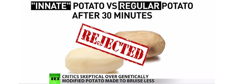 gmo-potato-simplot-rejected-735-277