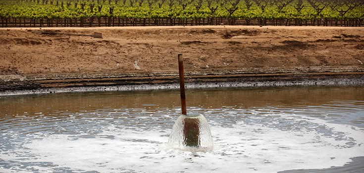 California Crops Watered with Questionable Oil Field Wastewater