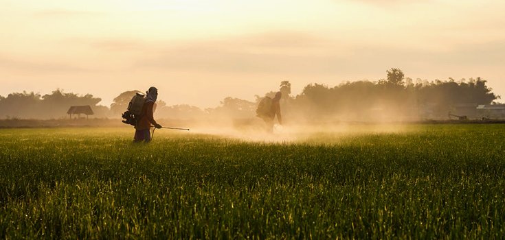 Global Glyphosate Herbicide Market IS Driven by Genetically Modified Crops
